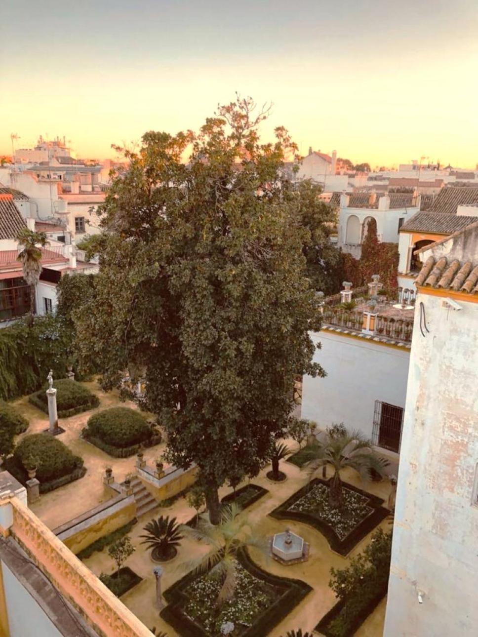 Atico Caleria Con Vistas A La Giralda Apartamento Sevilla Exterior foto